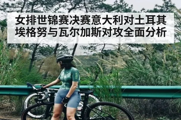 女排世锦赛决赛意大利对土耳其埃格努与瓦尔加斯对攻全面分析 | ng28